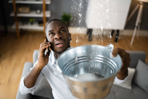 Best 24-hour water damage restoration  in Lavalette, WV