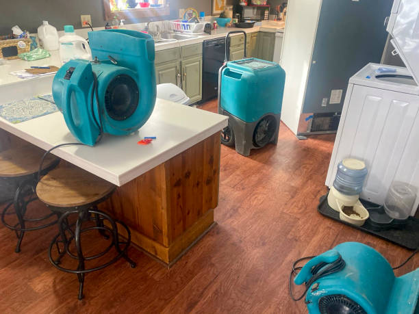 Best Professional water damage repair  in Lavalette, WV