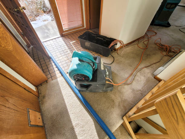 Best Water damage cleanup near me  in Lavalette, WV