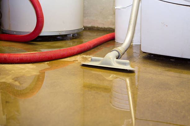 Best 24-hour water damage restoration  in Lavalette, WV