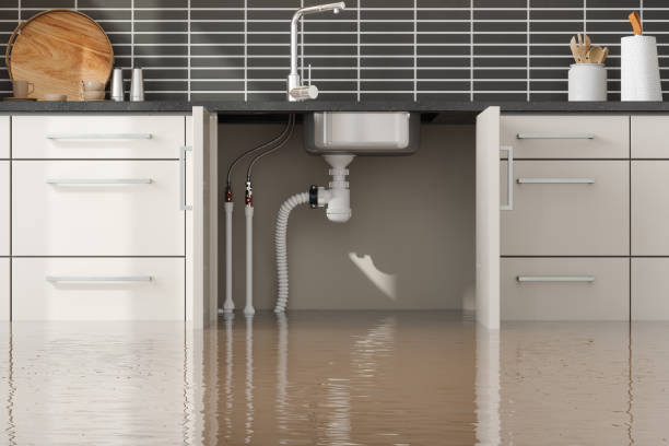 Best Local water damage restoration  in Lavalette, WV